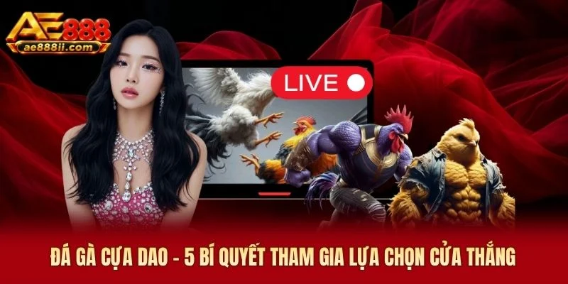 Đá Gà Cựa Dao AE888- 5 Bí Quyết Tham Gia Lựa Chọn Cửa Thắng