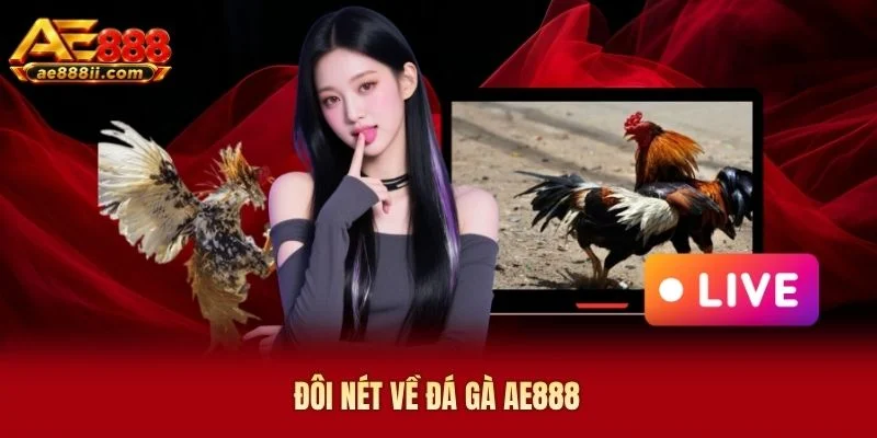 Đôi nét về đá gà AE888